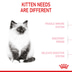 ROYAL CANIN KITTEN Trockenfutter für Kätzchen