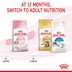 ROYAL CANIN KITTEN Trockenfutter für Kätzchen