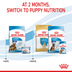 ROYAL CANIN MAXI Starter für tragende Hündin und Welpen großer Rassen