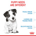 ROYAL CANIN MINI Puppy Trockenfutter für Welpen kleiner Hunderassen