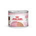 ROYAL CANIN MOTHER & BABYCAT Mousse für tragende Katzen und Kitten