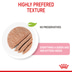 ROYAL CANIN MOTHER & BABYCAT Mousse für tragende Katzen und Kitten