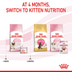 ROYAL CANIN MOTHER & BABYCAT Mousse für tragende Katzen und Kitten