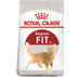ROYAL CANIN FIT Trockenfutter für aktive Katzen