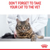 Royal Canin FCN Hair & Skin Care