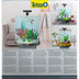 Tetra AquaArt Explorer Line Halfmoon Komplett-Set 60l