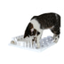 Trixie Cat Activity Fun Board