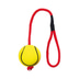 Trixie Neonball am Seil aus Moosgummi 6cm/30cm