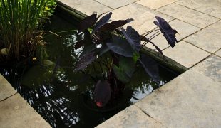 Der formale Gartenteich: Moderner Teichbau