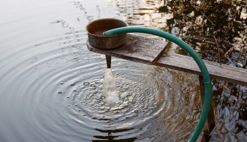 Teichtechnik: Filter für den Gartenteich