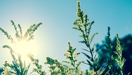 Solartechnik für den Gartenteich