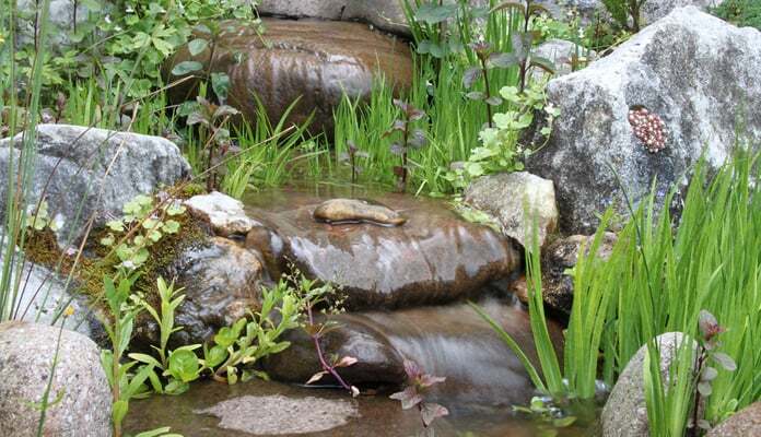 Bachlauf im Garten ein toller Hingucker ZooRoyal Magazin