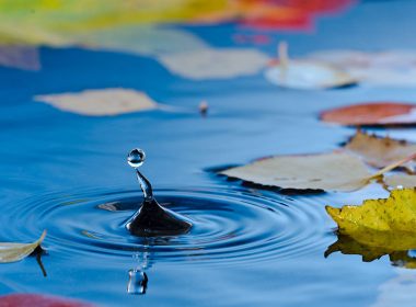 Filtermaterial für den Teich