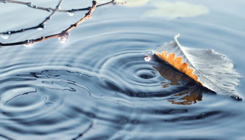 Teichpflege im Winter: Gartenteich winterfest machen