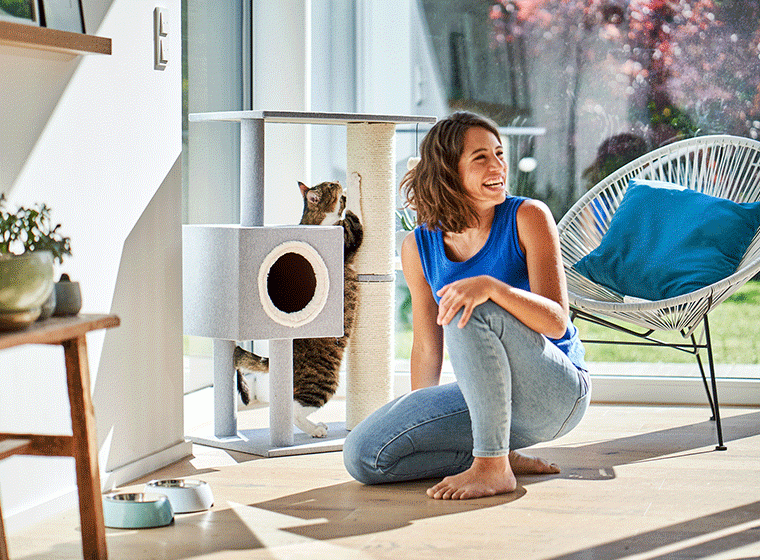 Erstausstattung für die Katze