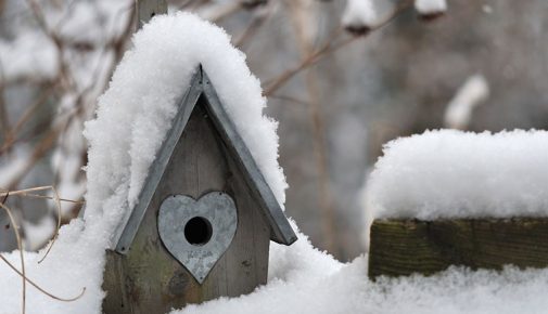 Vogelvoliere im Winter: Außenvolieren in der kalten Jahreszeit