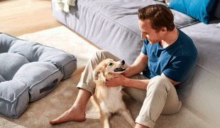 ZooRoyal Hundekissen Max grau