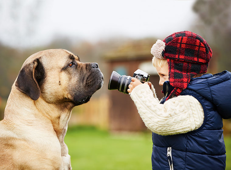 Tierfotografie