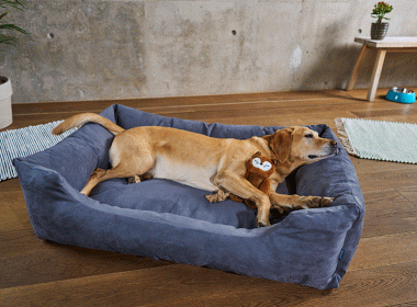 Hundebett