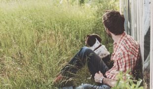 Wolfshund - alles zur Haltung und Pflege | ZooRoyal Magazin