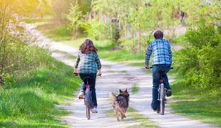 Radfahren mit Hund