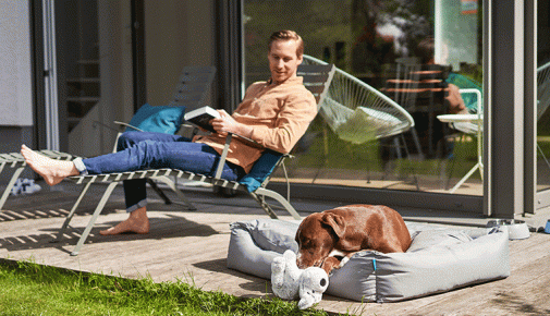 Wohnen mit Hund