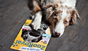 ZooRoyal Jubiläumsmagazin
