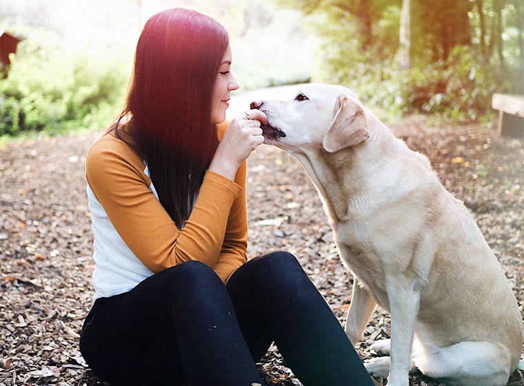 Wie du mehr Aufmerksamkeit in den Hundealltag integrierst Volle Konzentration bitte: Aufmerksamkeit lässt sich