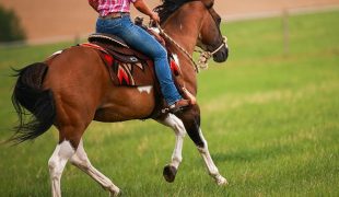 Westernreiten