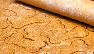 Rezepte für Hundekekse
