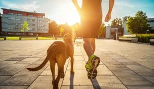 Joggen mit Hund