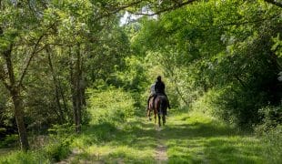 Wanderreiten