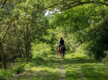 Wanderreiten