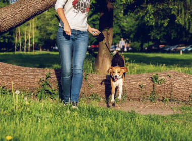 Fit durch den Frühling