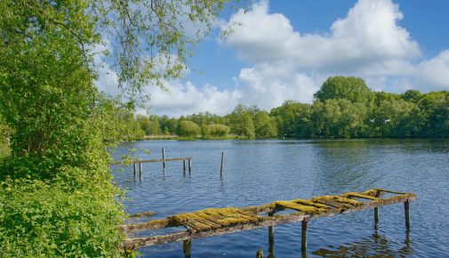 Naturpark Schwalm-Nette