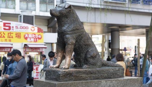 Statue Hachiko