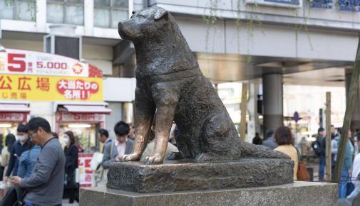 Statue Hachiko