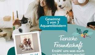 Gewinnspiel Aquarells.de