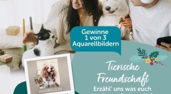 Gewinnspiel Aquarells.de