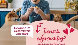 Gewinnspiel Eifersucht