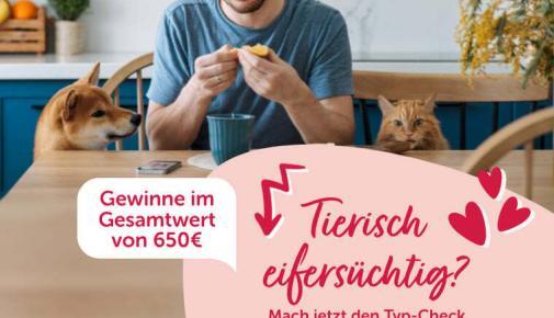 Gewinnspiel Eifersucht