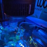 Beleuchtung im Meerwasseraquarium