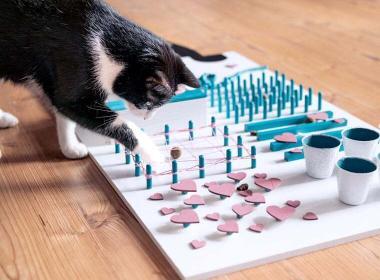 Fummelbrett für Katzen