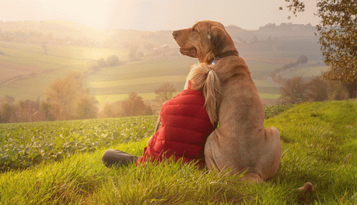 Wie zeigt mein Hund Zuneigung