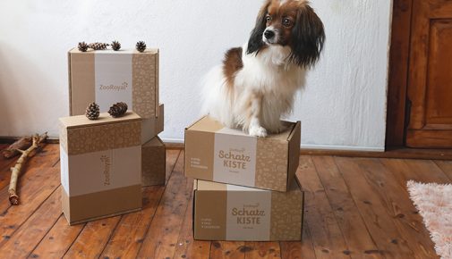 Bastelideen aus Karton für Hunde