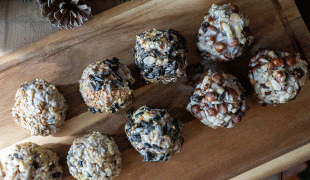 Meisenknödel selber machen