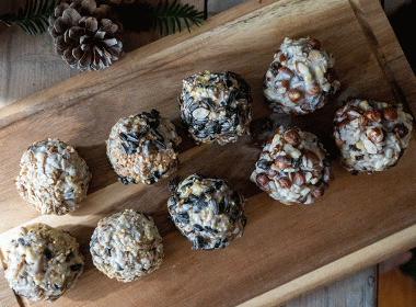 Meisenknödel selber machen