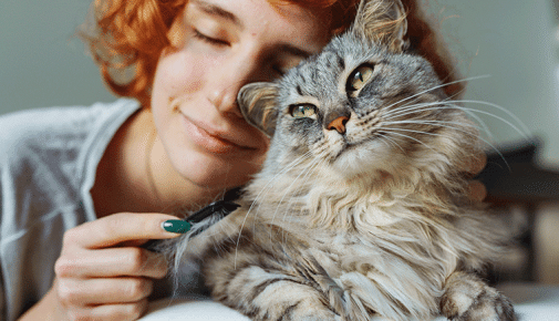 Allergiker Katzen