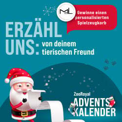 Gewinnspiel: Erzähl uns deine Story in den Kommentaren und gewinne!