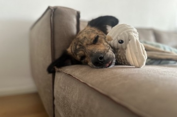  Silvester ohne Stress